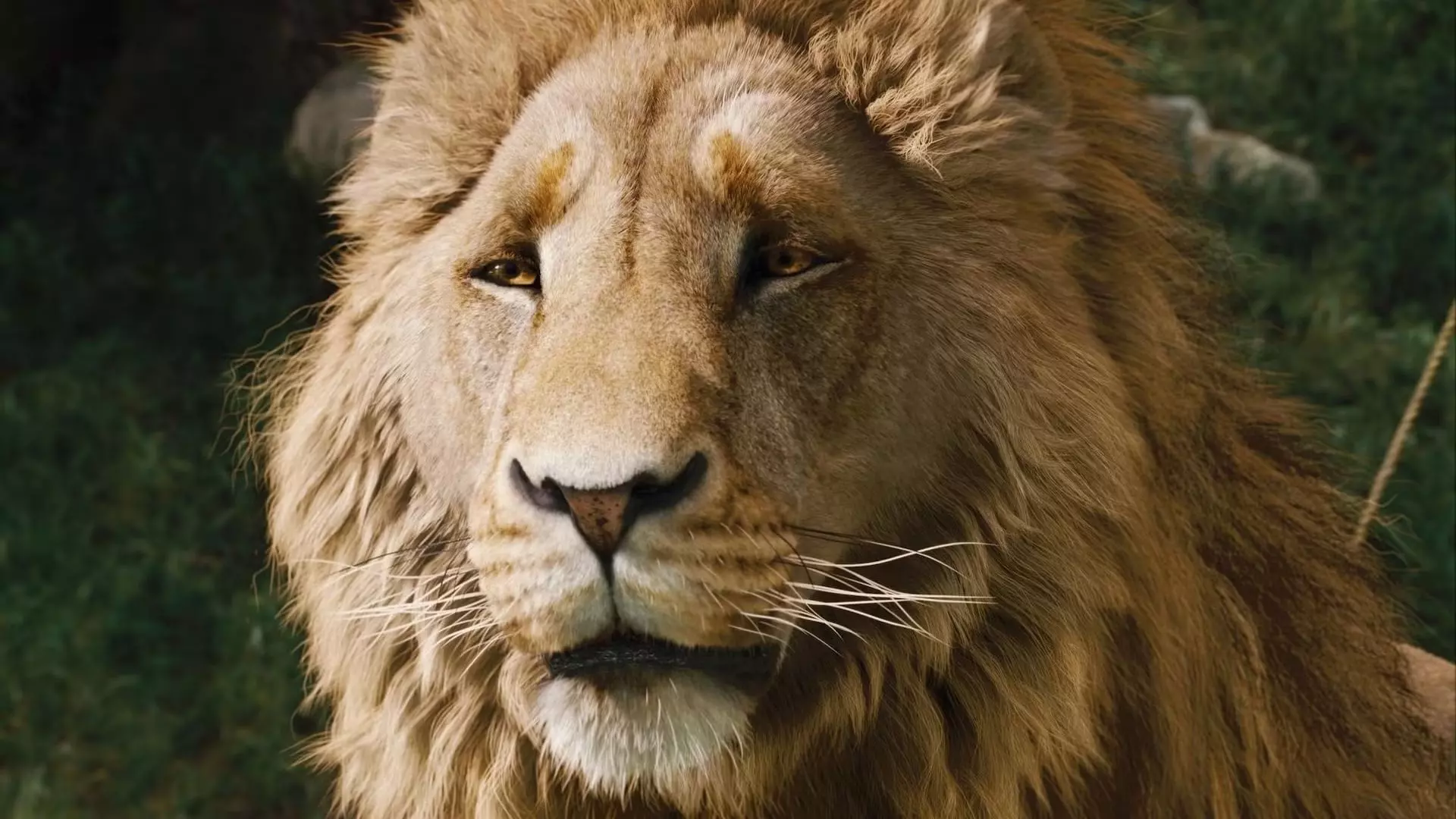 Greta Gerwig's Narnia Film Reveals First Look, Meryl Streep Cast as Aslan