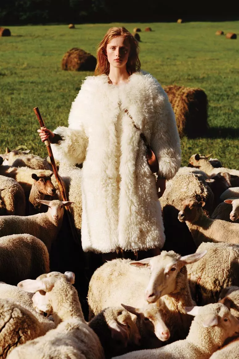 Unraveling the Ethical Threads of Wool in Fashion: A Documentary Insight