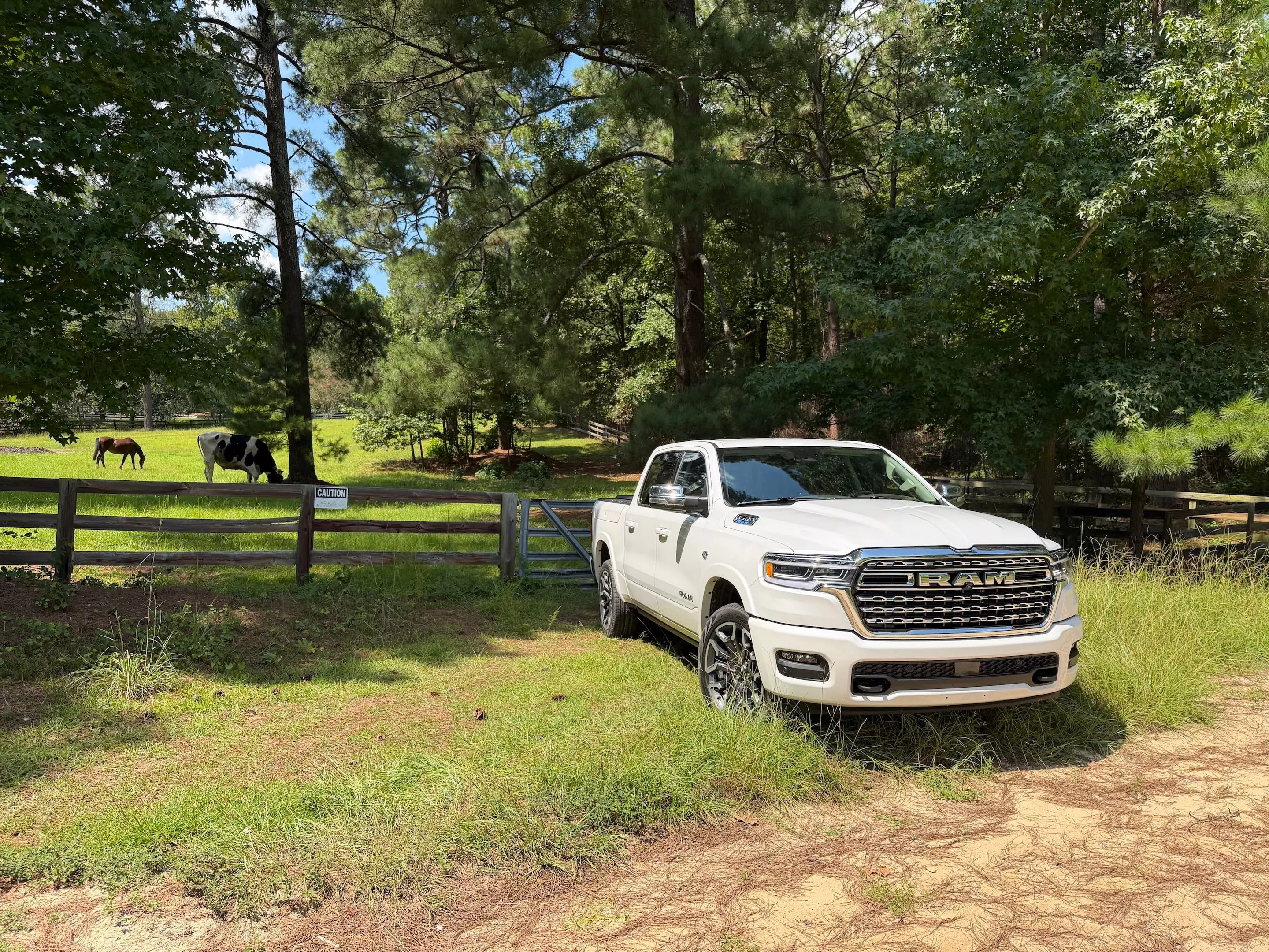 The Enduring Allure of Western-Themed Pickups