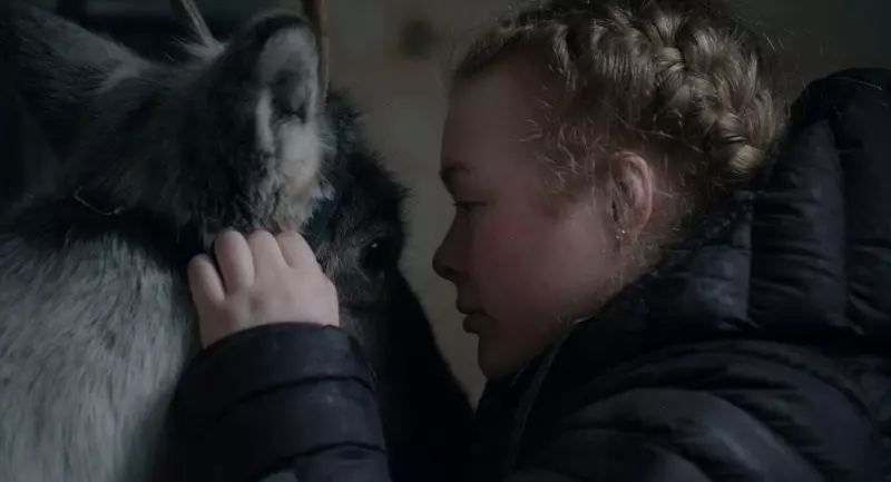 Review of 'Brace Your Heart': A Fusion of Heritage and Modernity in an Homage to Sámi Femininity