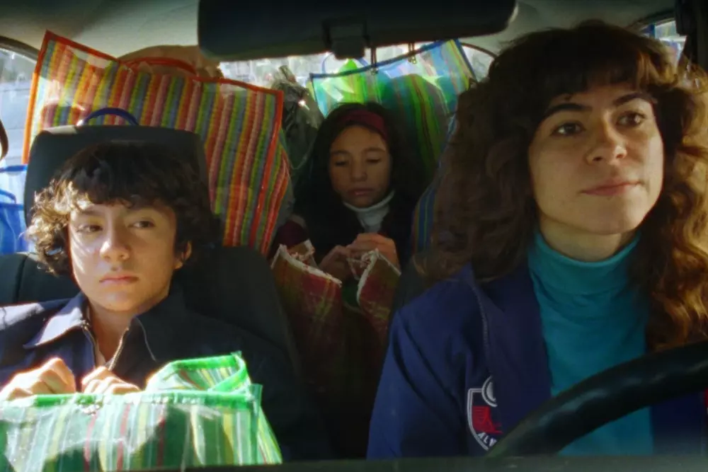 Desvia Filmes Charts New Course: Indie Focus and "The Last Cruise"