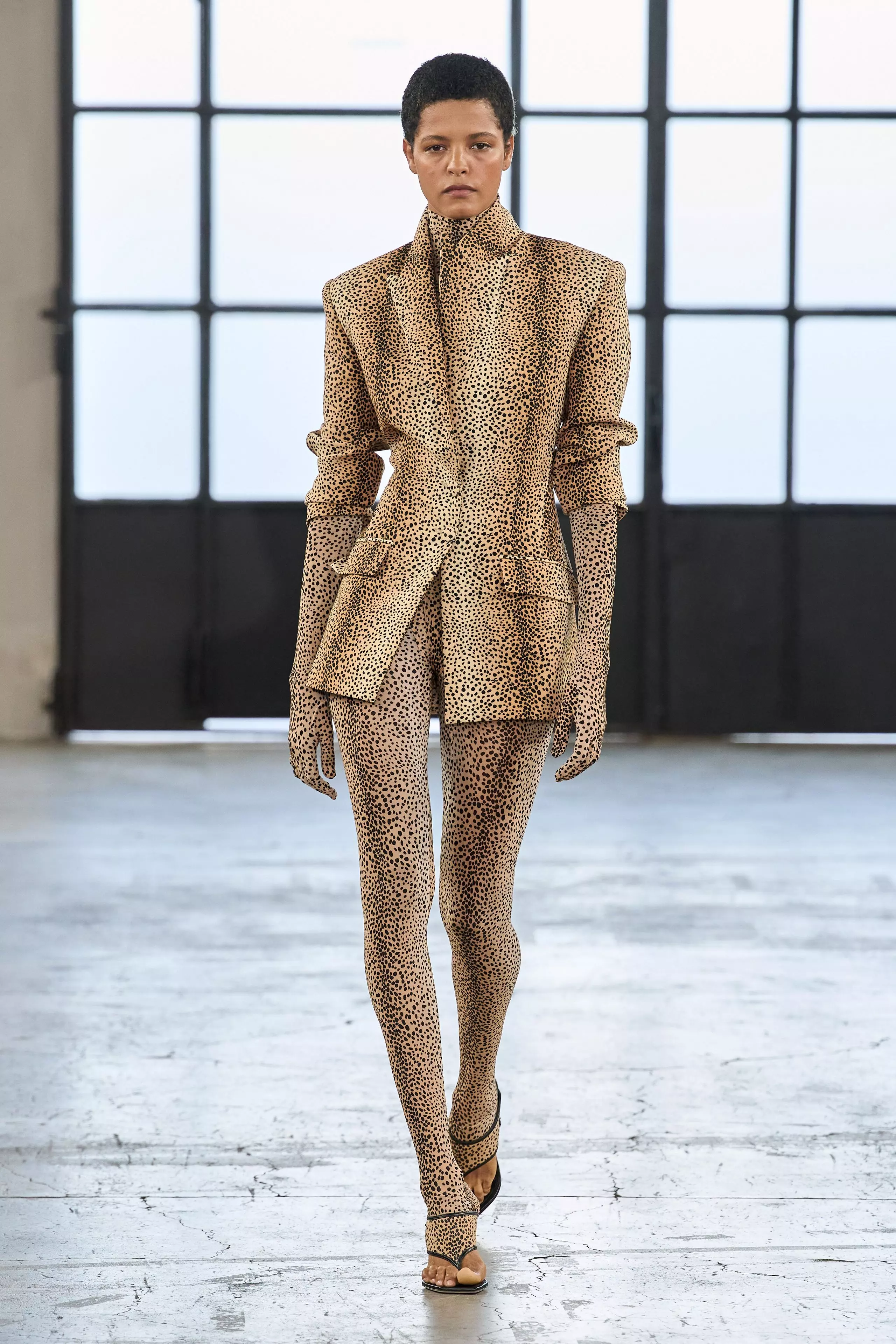 Elisabetta Franchi's Spring 2027 Ready-to-Wear Collection