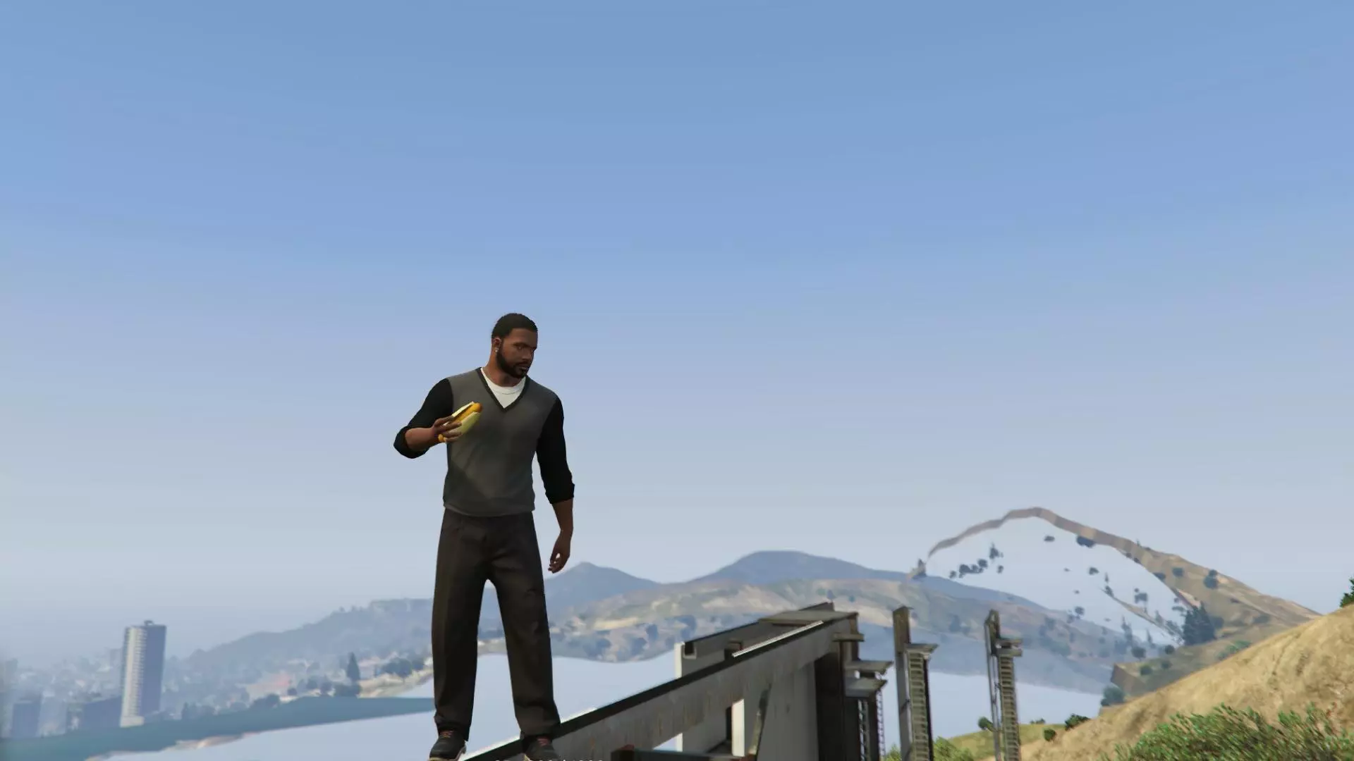 Bringing Hot Dogs to Life in GTA 5: A Modder's Endeavor