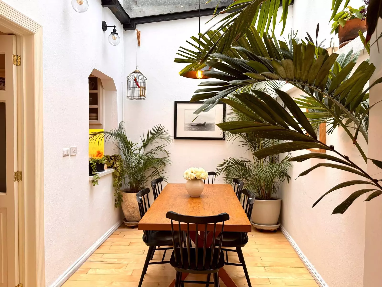 Discover Your Perfect Mexico City Airbnb: A Guide to the Best Stays