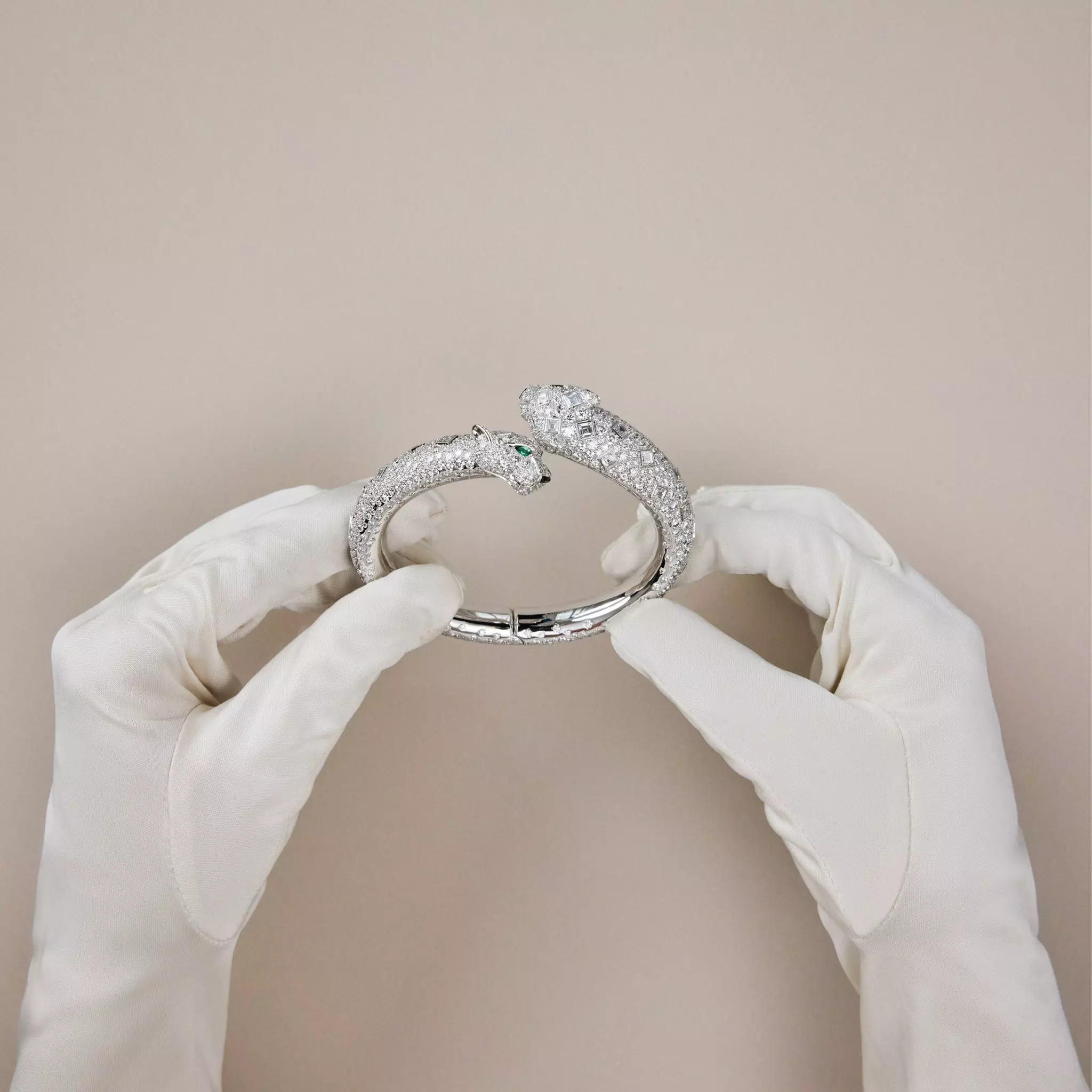 Cartier's Animal Kingdom: A Century of Exquisite Jewelry