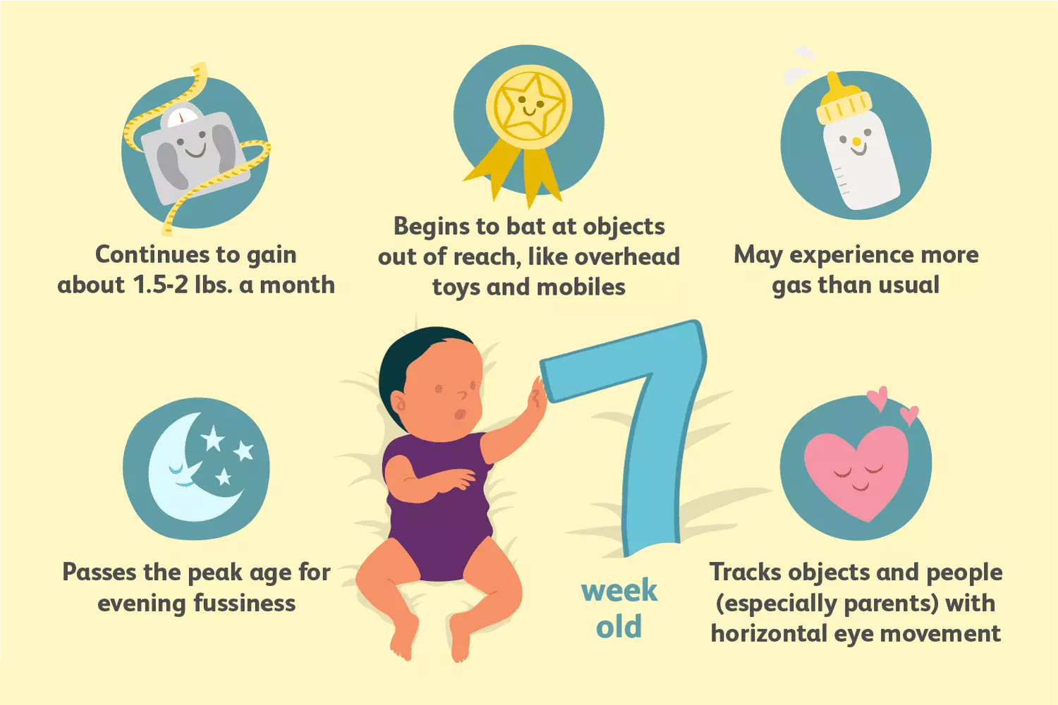 Navigating the 7th Week: Your Baby's Journey of Growth and Discovery