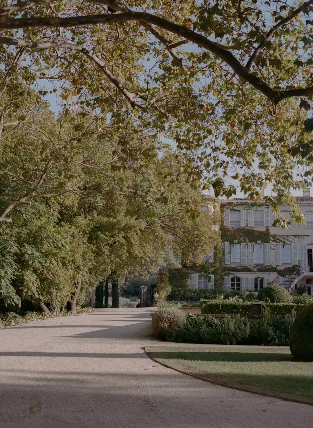 Simu Liu and Allison Hsu's Enchanting Provence Wedding