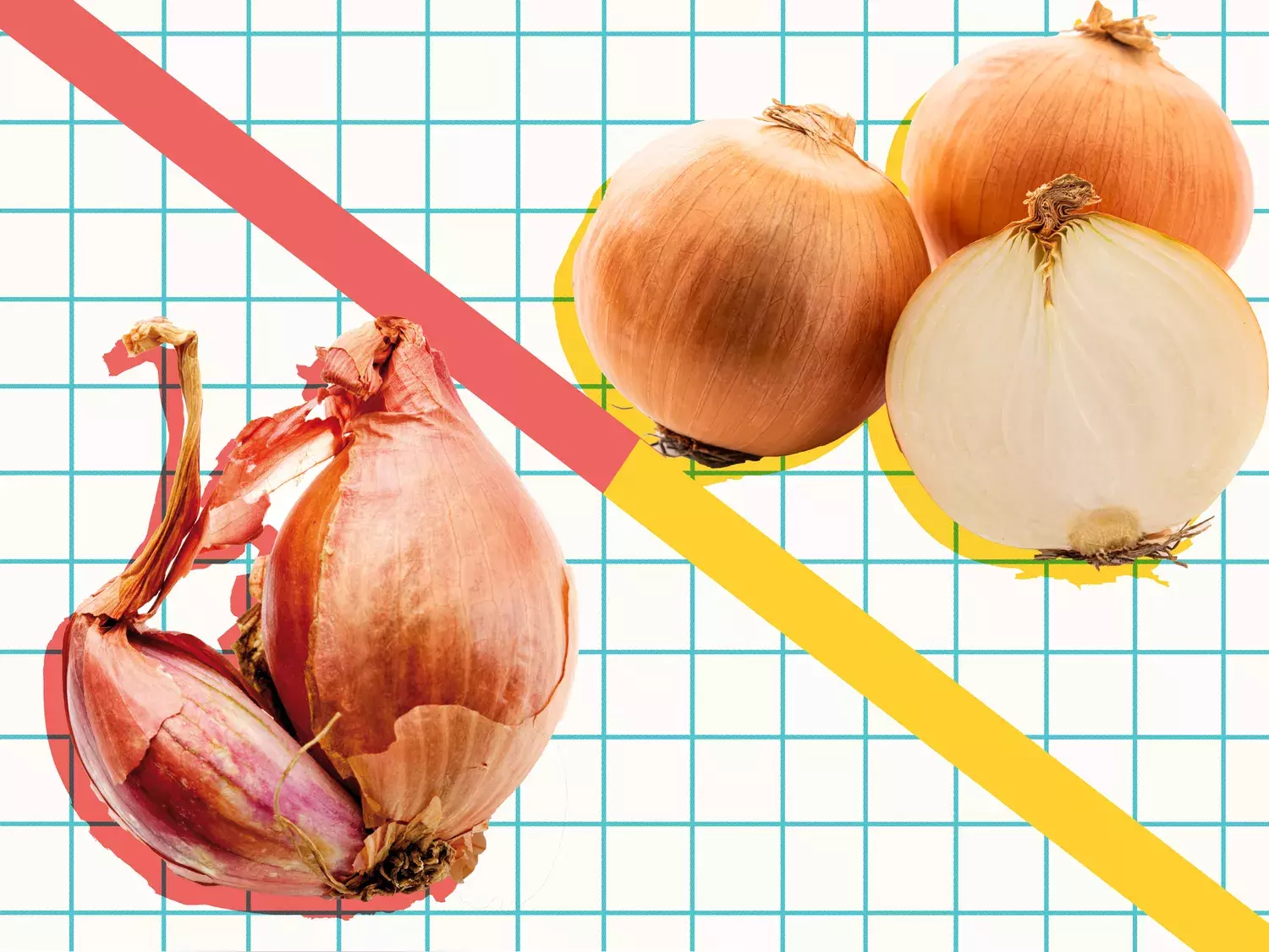 Exploring the Distinct Flavors and Culinary Applications of Shallots and Onions