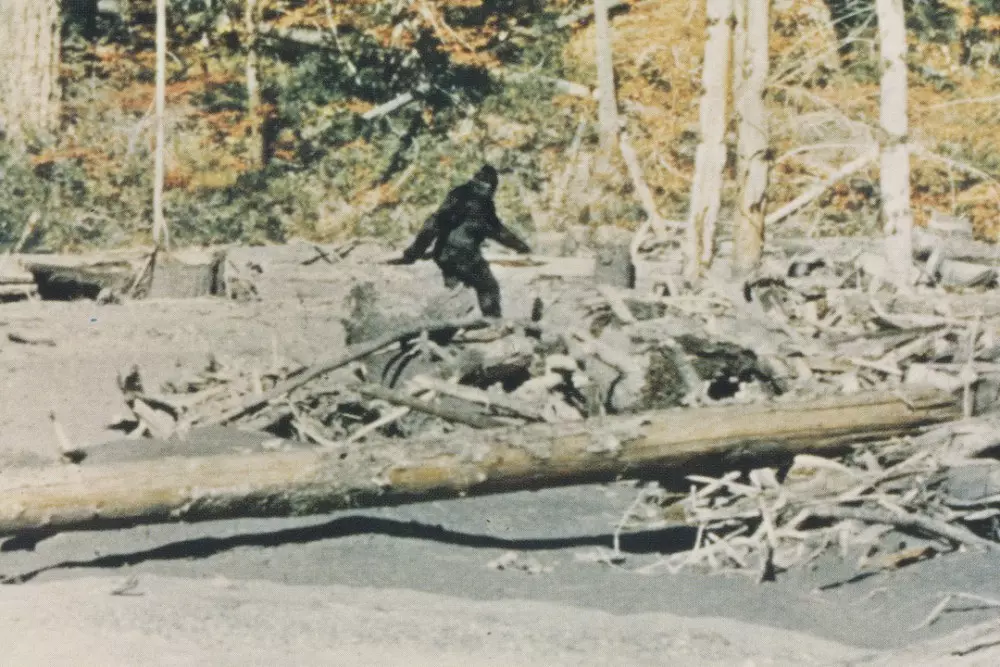 Unveiling the Truth: A Deep Dive into the Bigfoot Phenomenon