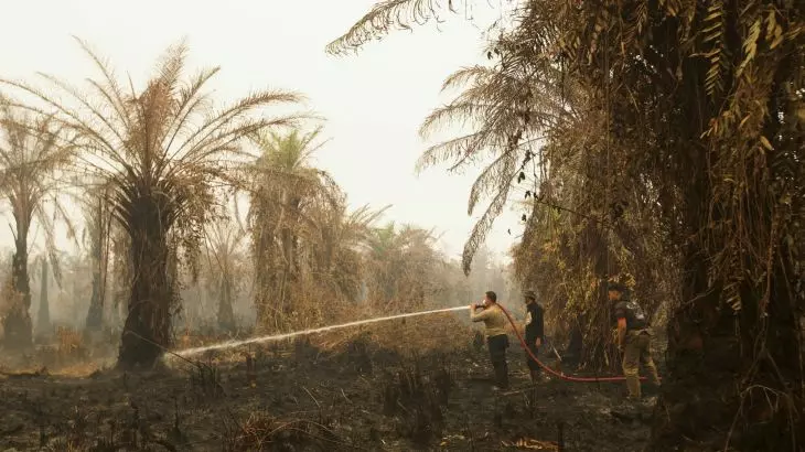 Indonesia Grapples with Severe Forest Fires and Haze Crisis