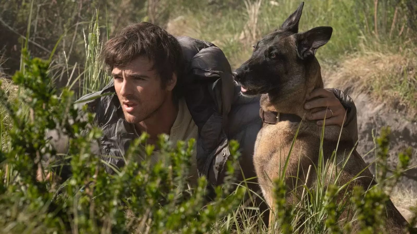 Ridley Scott's 'The Dog Stars' Moves to Streaming After Box Office Struggles