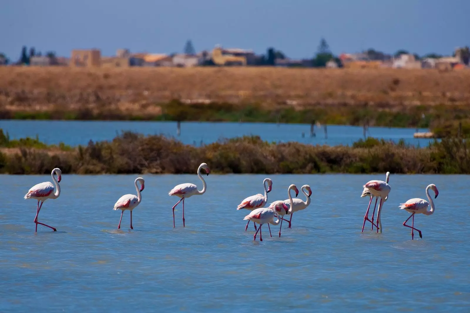 Global Birdwatching Destinations