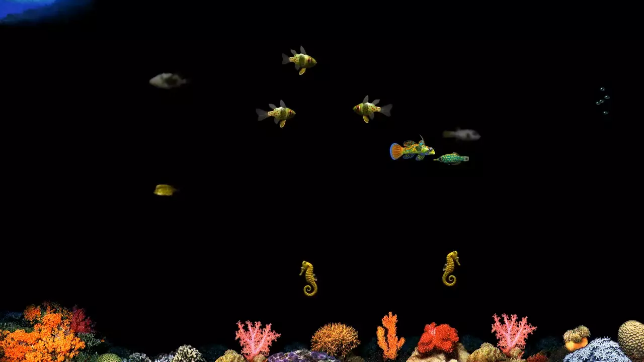 The Origin Story of the Iconic Windows Fish Screensaver