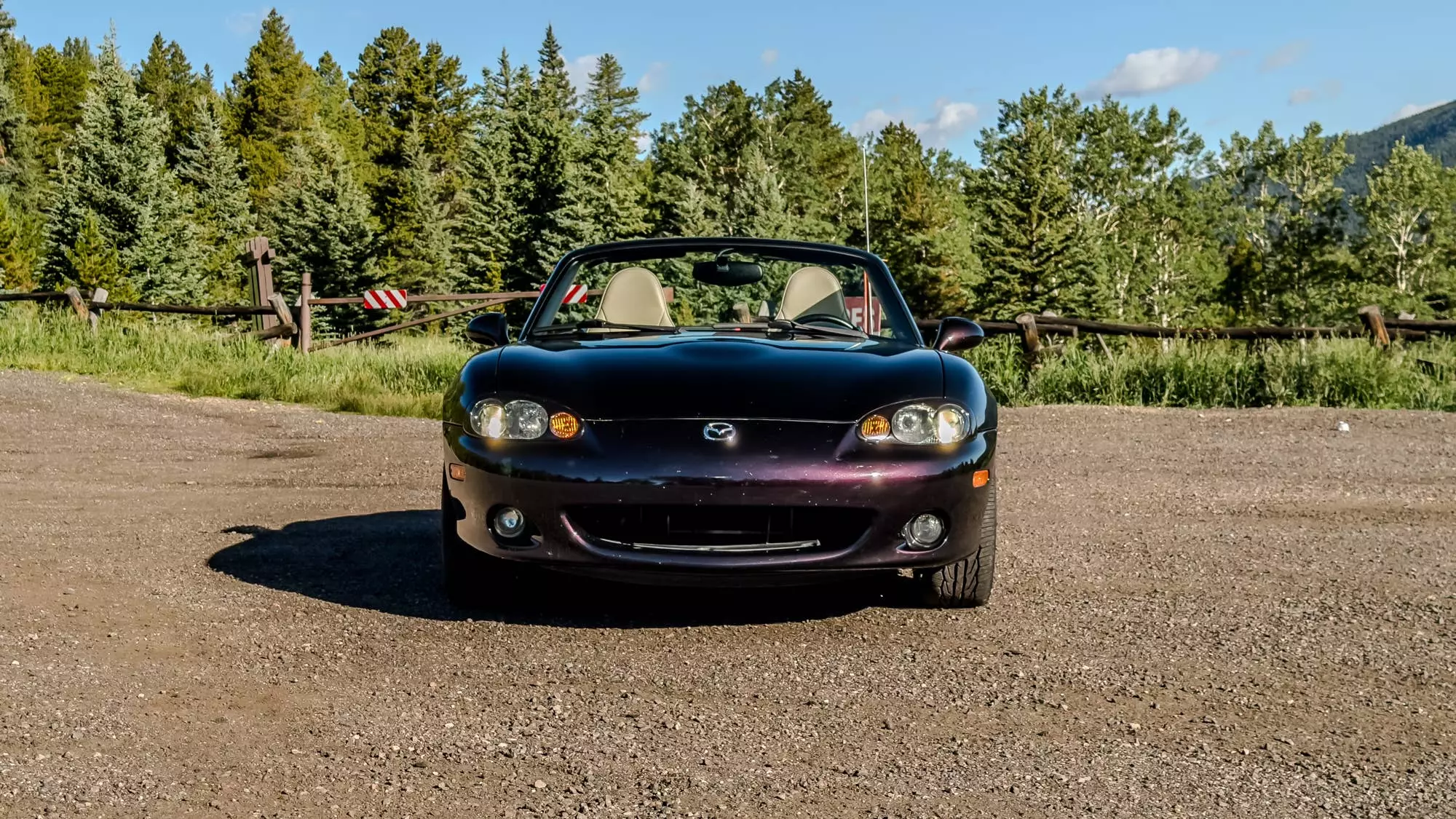 Tail-Wagging Travels: Crafting a Pet-Friendly Mazda Miata