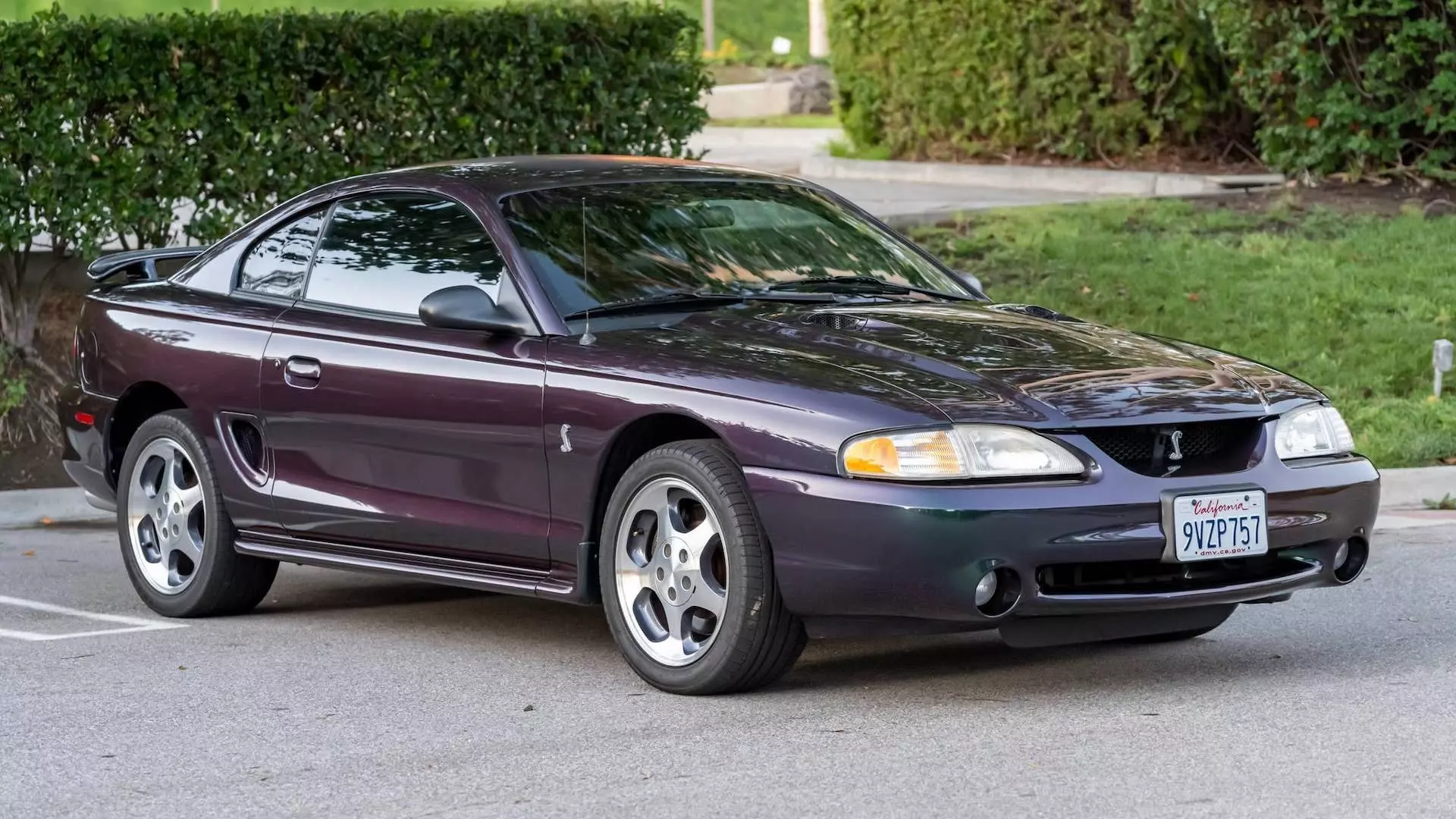 For Sale: A 1996 Ford Mustang SVT Cobra Coupe with Unique Mystic Clearcoat Metallic Finish